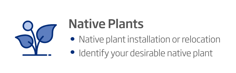 Native plants