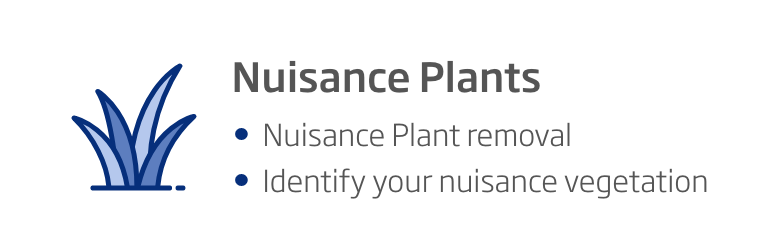 Nuisance