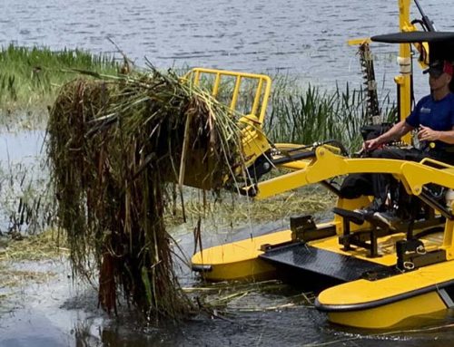 Weed Harvesting vs Licensed Herbicide Application. Which One is Right for Your Lakefront?