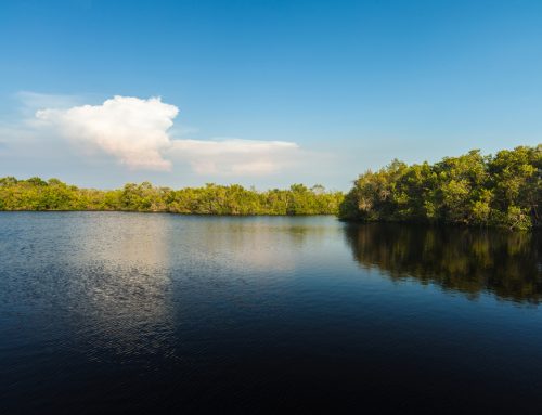 Seminole County: Lake Management Guide