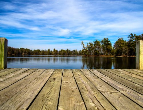 Why Is It So Important to Seal Your Wooden Dock?