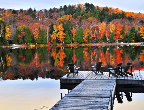 Floating Docks vs. Standing Docks, Pros and Cons